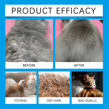 Waterless Cat Shampoo Waterless Cat Shampoo Licking Safe Dry Shampoo 60Ml Gentle Foam Shampoo for Cats Deep Cleansing Relieves